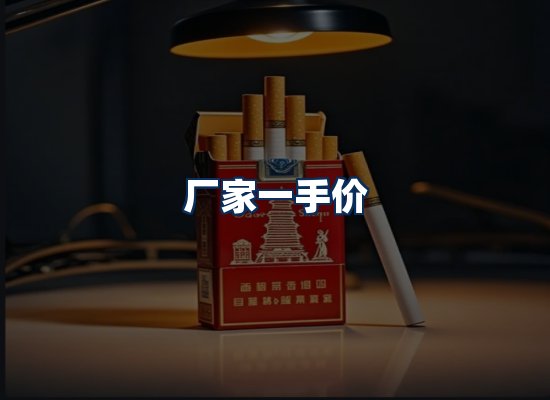 专业团队办公环境